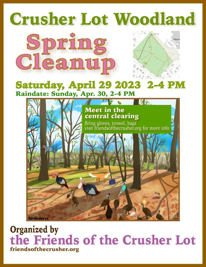 Schertz Spring Clean Up 2023